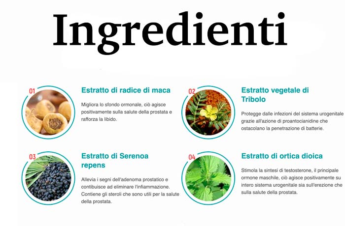 ingredienti di Uromexil